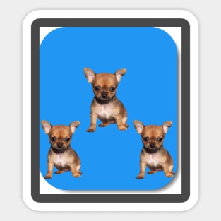 Three puppies Sticker